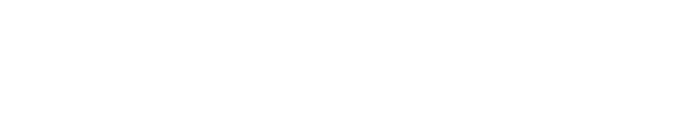 SANDI Strategy & Technology